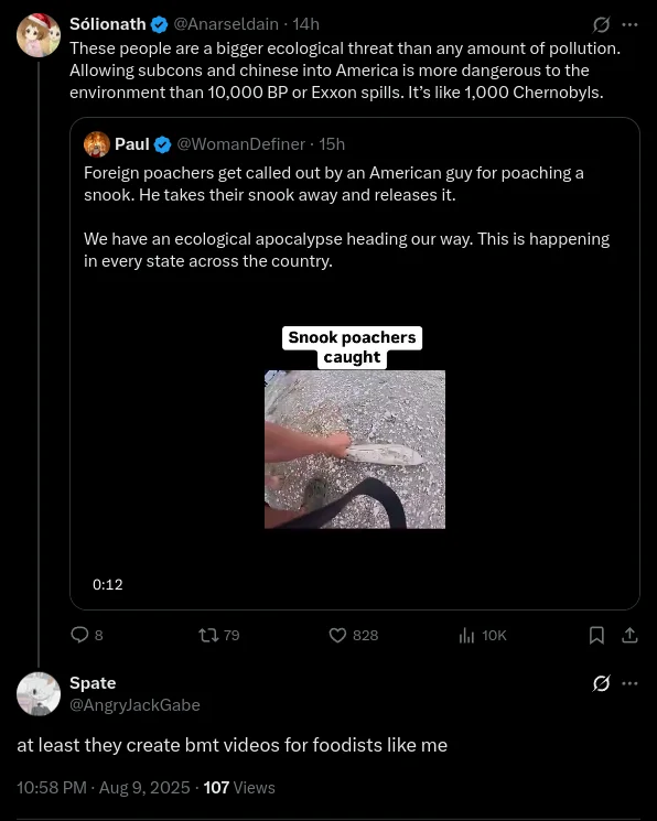 Screenshot from 2025-08-10 11-53-03.webp